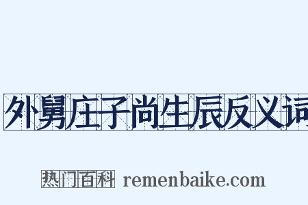 外舅庄子尚生辰反义词是什么意思的图片